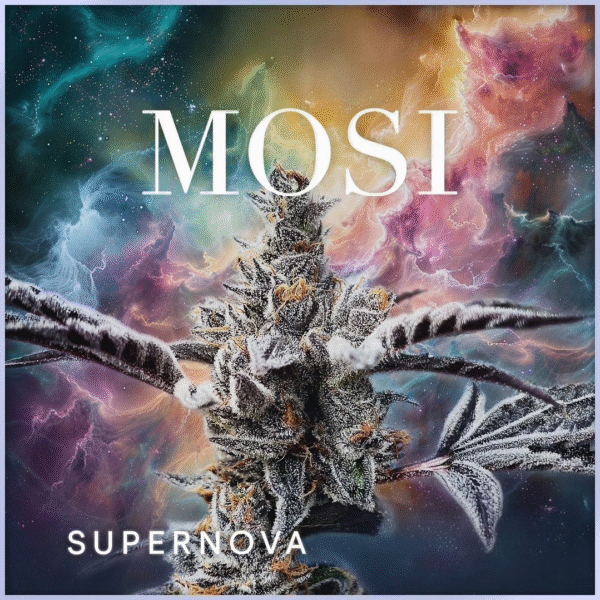 Super Nova